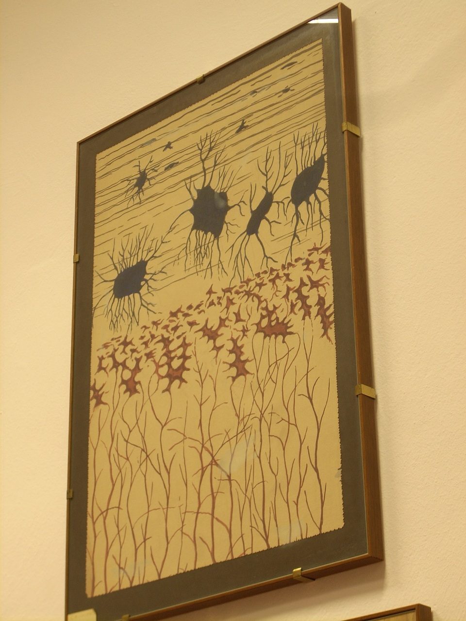 Giulio Bizzozero s histological drawings, Accademia di Medicina, Turin, Italy - 05.JPG